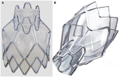 A preclinical animal study to evaluate the operability and safety of domestic one-way endobronchial valves